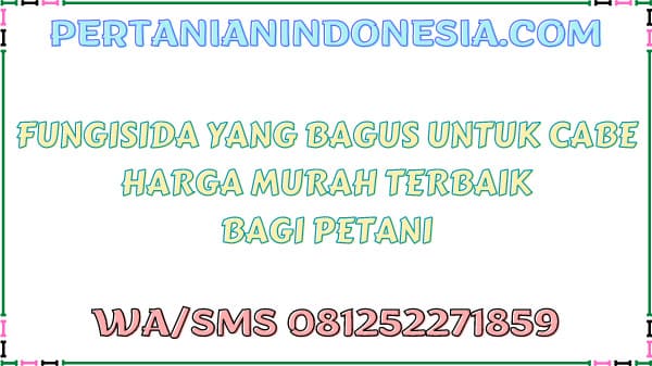 Fungisida Yang Bagus Untuk Cabe Harga Murah Terbaik Bagi Petani